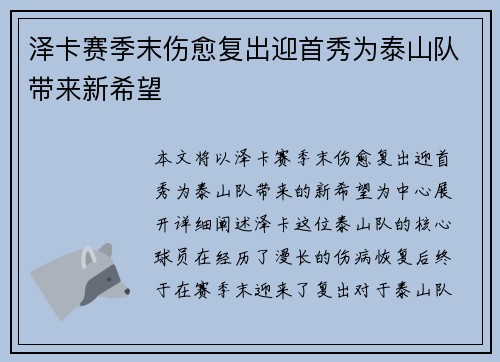 泽卡赛季末伤愈复出迎首秀为泰山队带来新希望